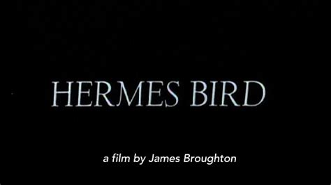 hermes bird watch online|Hermes Bird (1979) Stream and Watch Online .